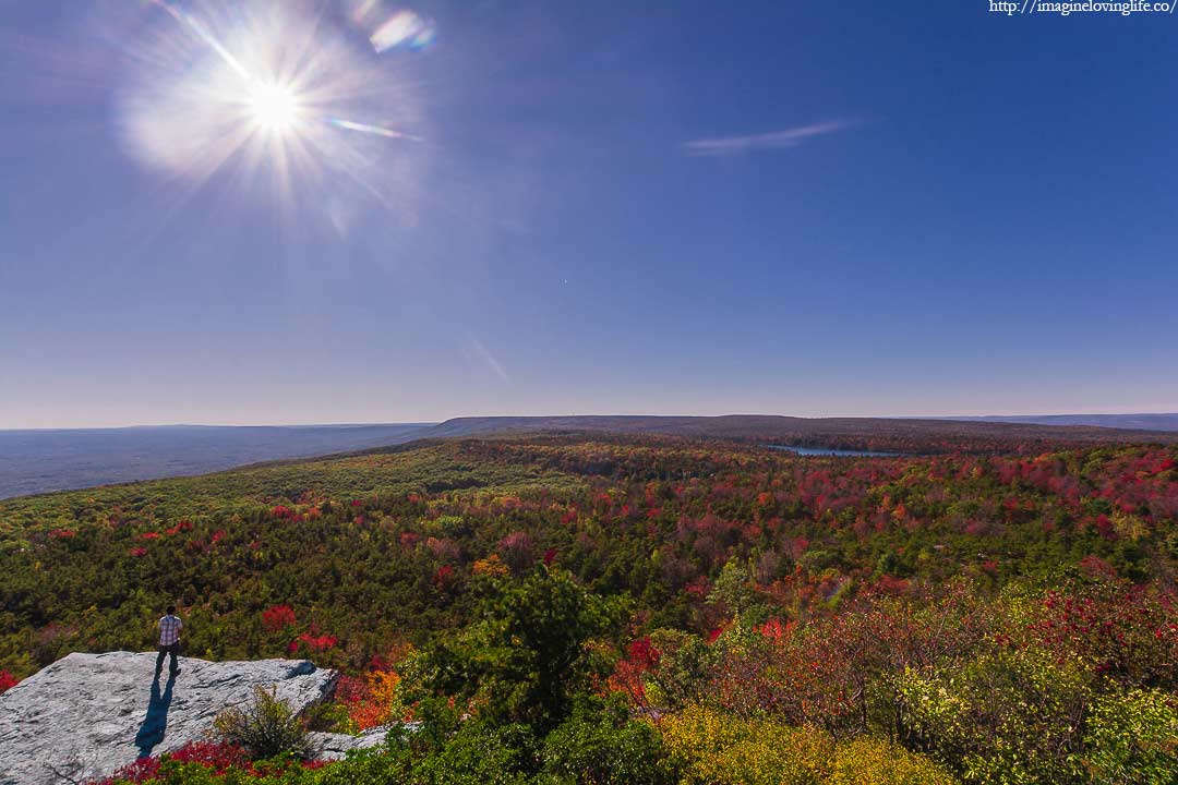 Castle Point Outlook